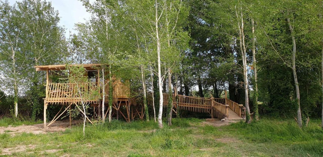 La Cabane Perchee Villelaure 外观 照片