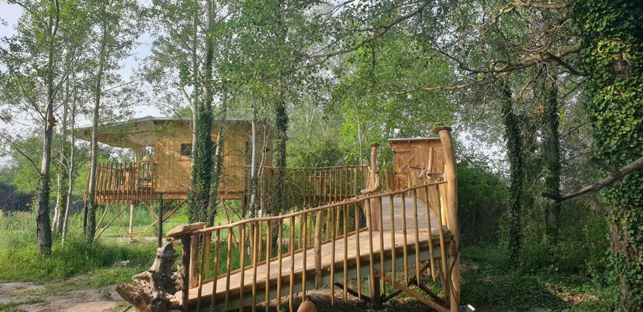 La Cabane Perchee Villelaure 外观 照片