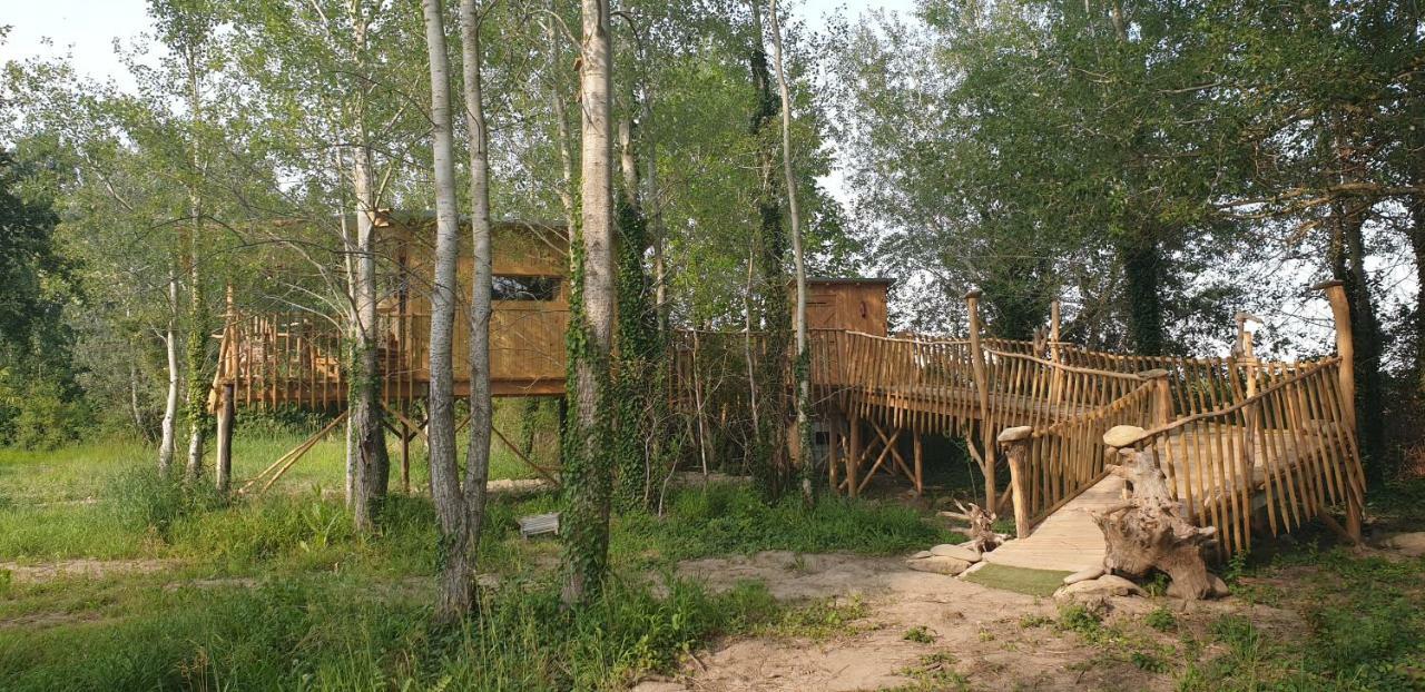La Cabane Perchee Villelaure 外观 照片